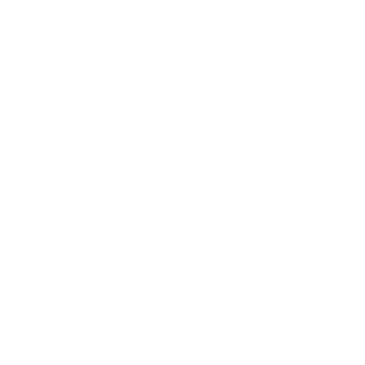Government Icon