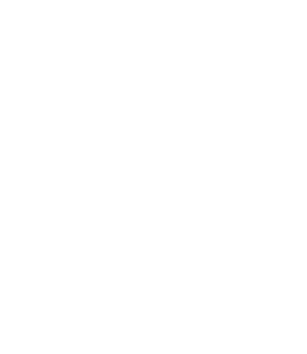Political Icon