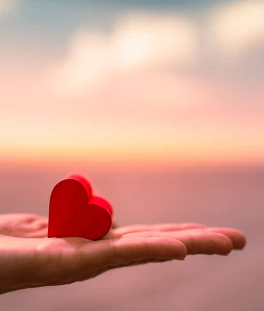 Heart In The Hand.